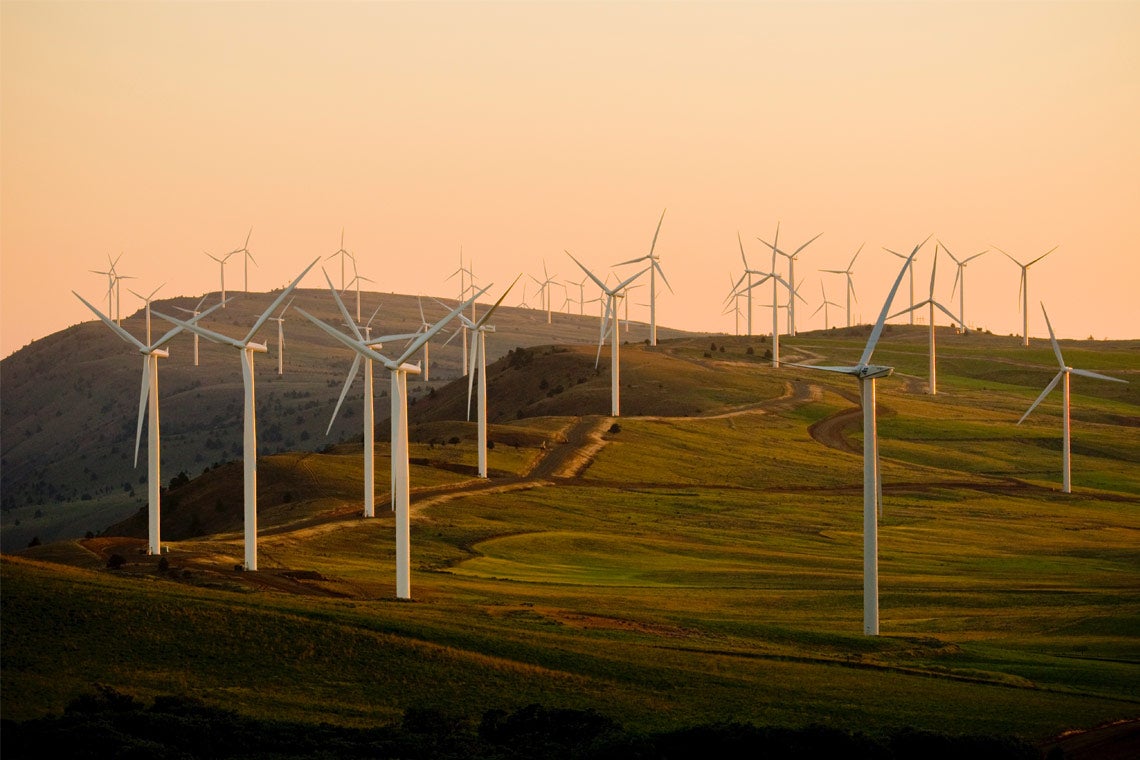photo of wind turbines