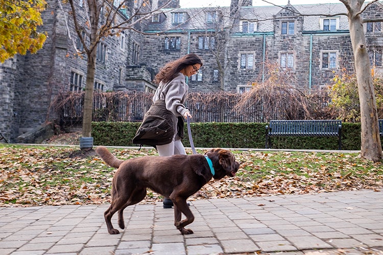 Zoey dog outside Faculty of Law